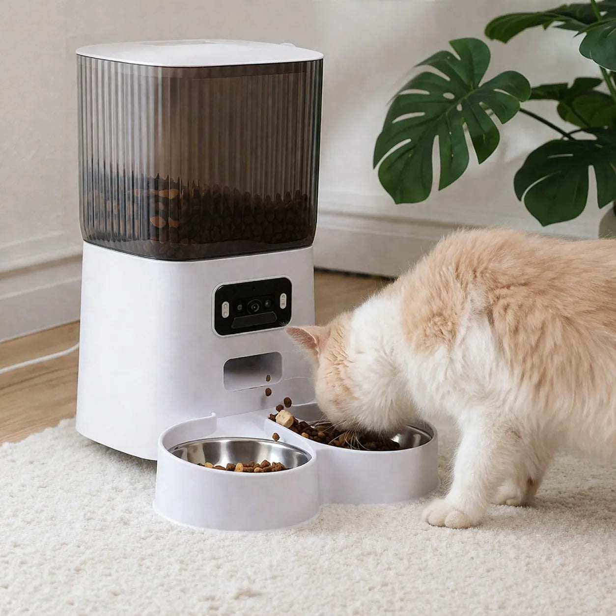 Distributeur eau et croquette chat - Connecté avec caméra HD