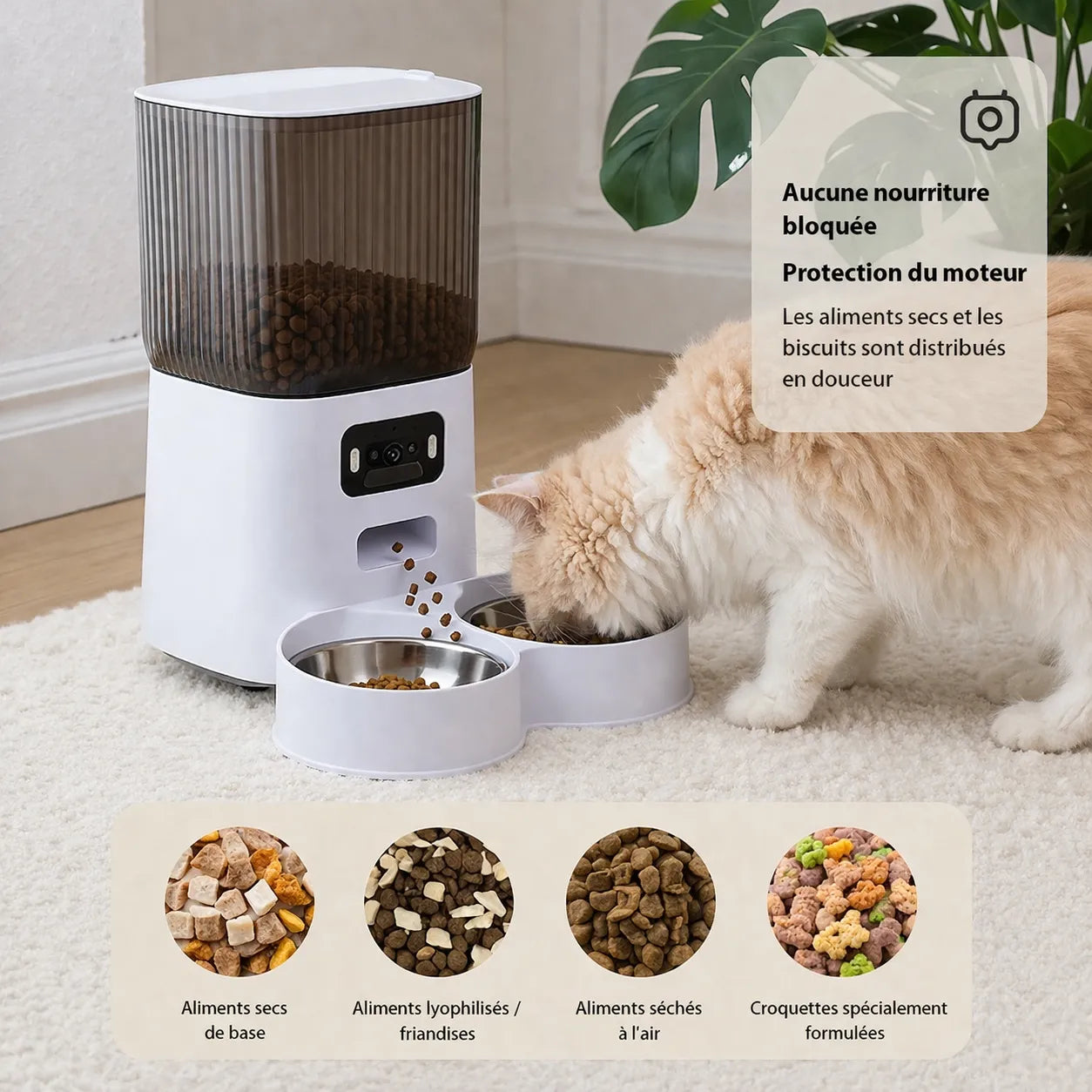 Distributeur eau et croquette chat - Connecté avec caméra HD