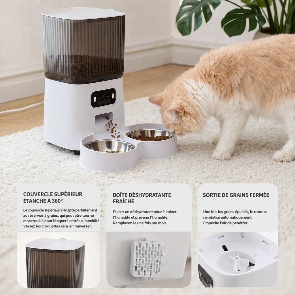 Distributeur eau et croquette chat - Connecté avec caméra HD