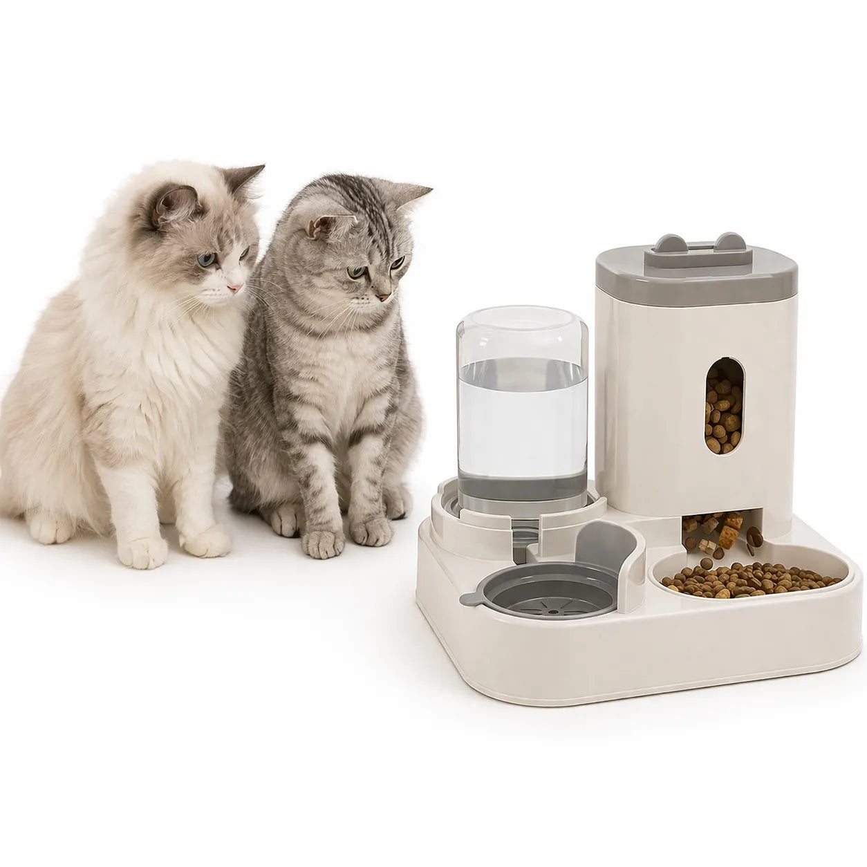 Distributeur eau et croquette chat - Grande capacité