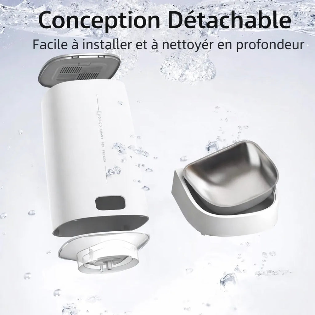 Distributeur eau et croquette chat WiFi 4L - Automatique