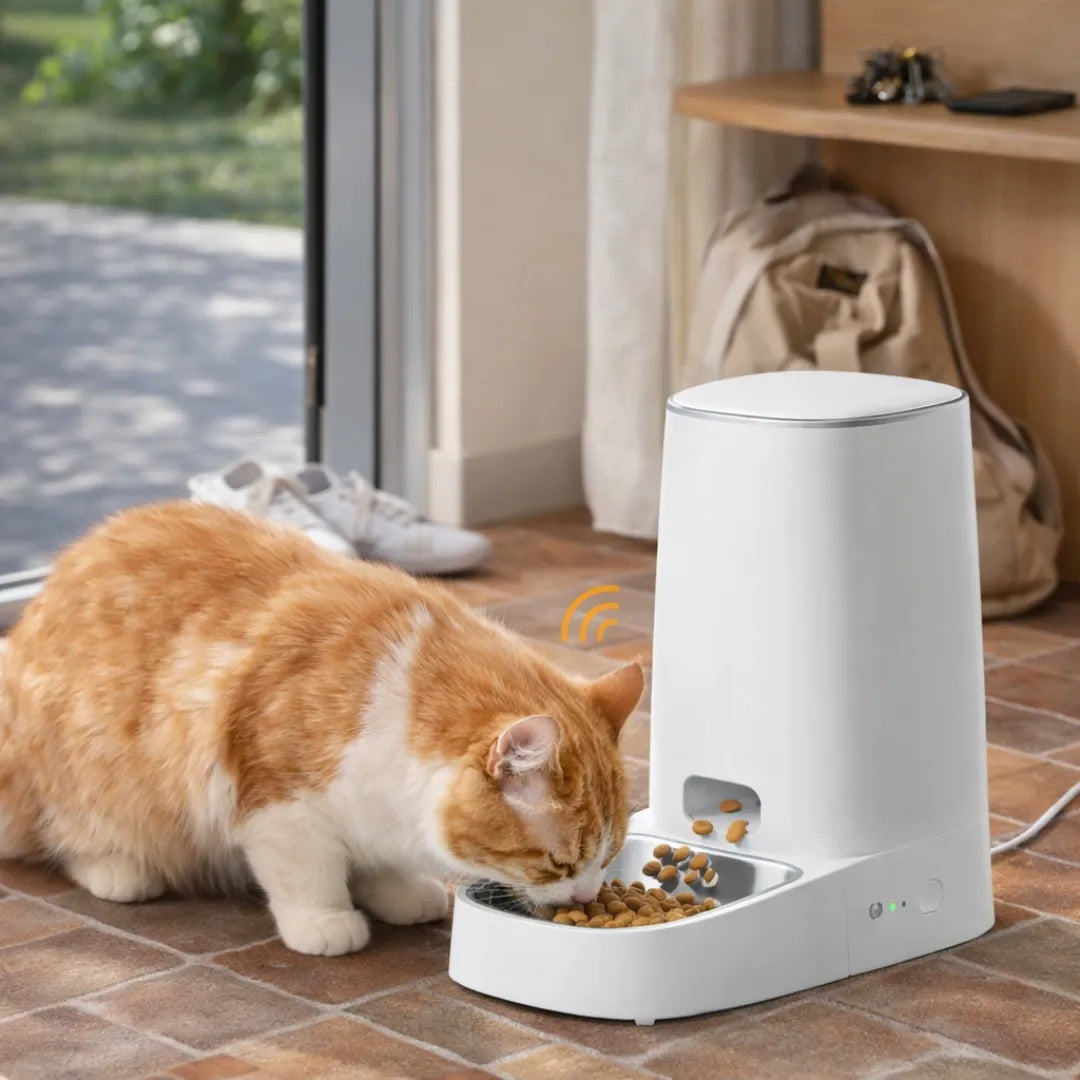 Distributeur eau et croquette chat WiFi 4L - Automatique