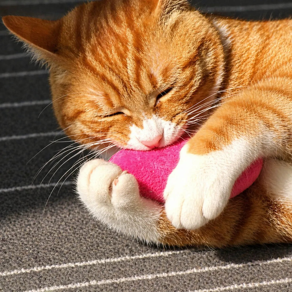 Doudou pour chat à la cataire - Peluche apaisante à mâcher