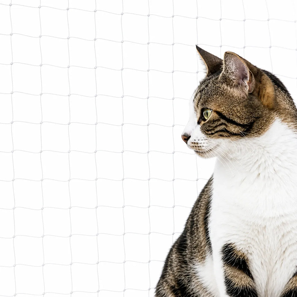 Filet balcon chat transparent - Protection sans perçage