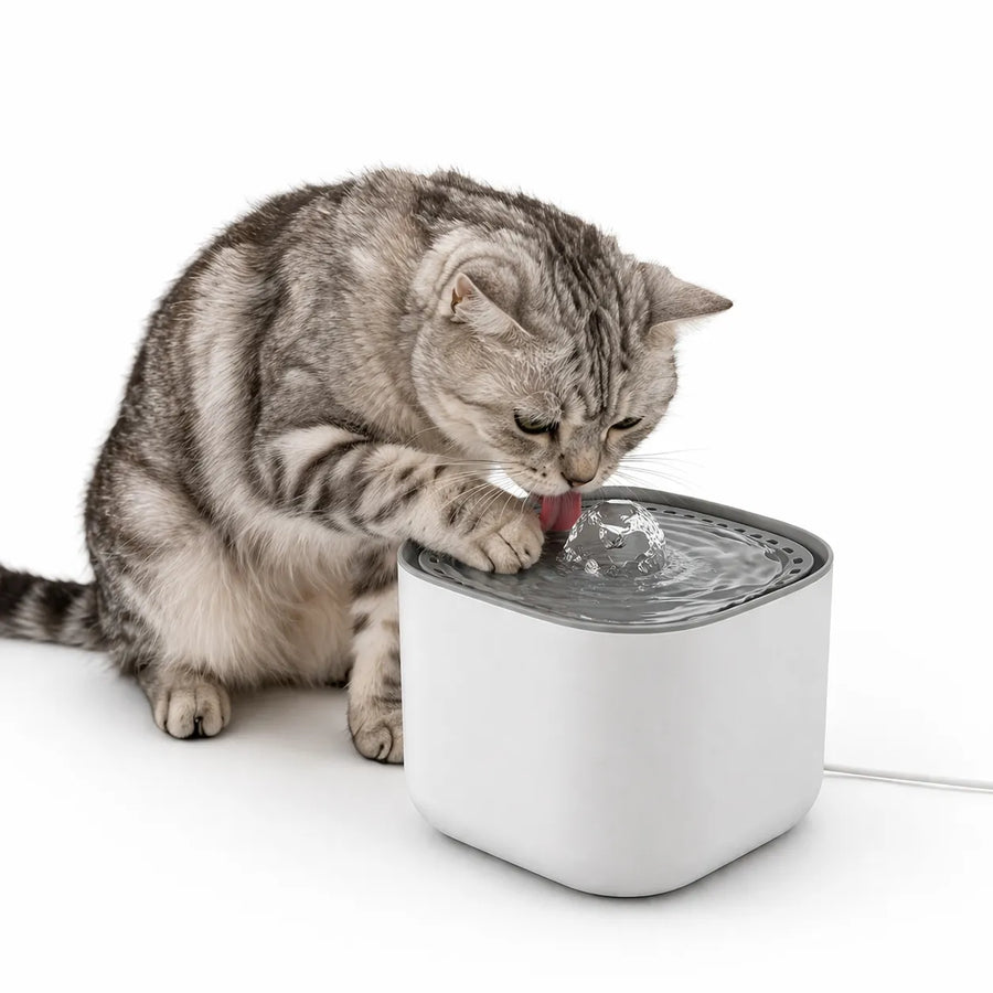 Fontaine à eau chat 3 L silencieuse - Abreuvoir filtrant USB