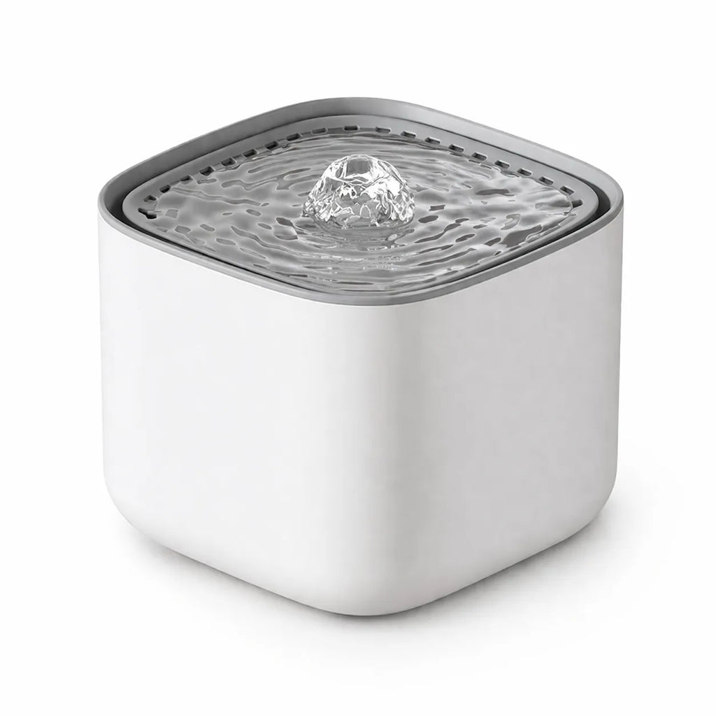 Fontaine à eau chat 3 L silencieuse - Abreuvoir filtrant USB