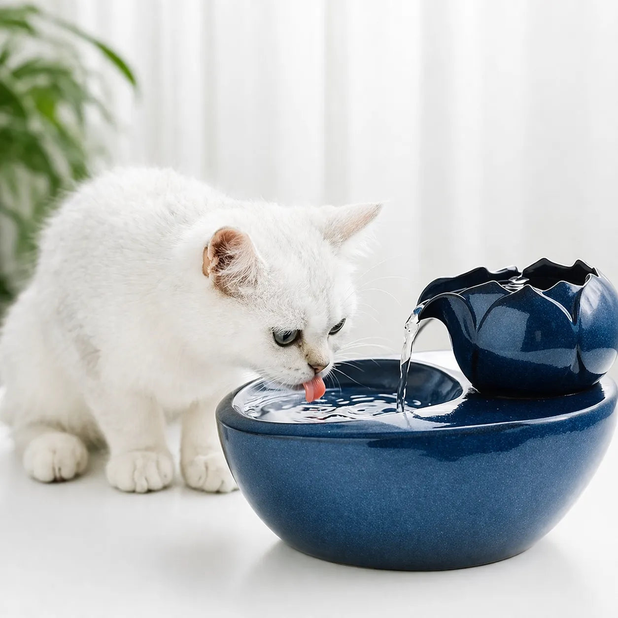 Fontaine à eau chat en céramique - Abreuvoir filtrant 1,5 L