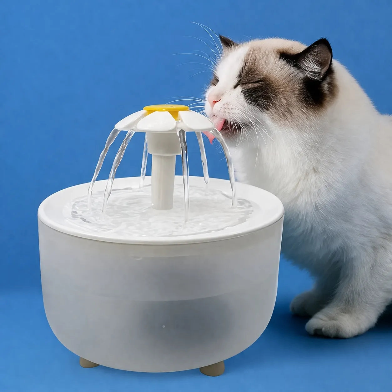 Fontaine à eau chat silencieuse - Abreuvoir USB 1,2 L