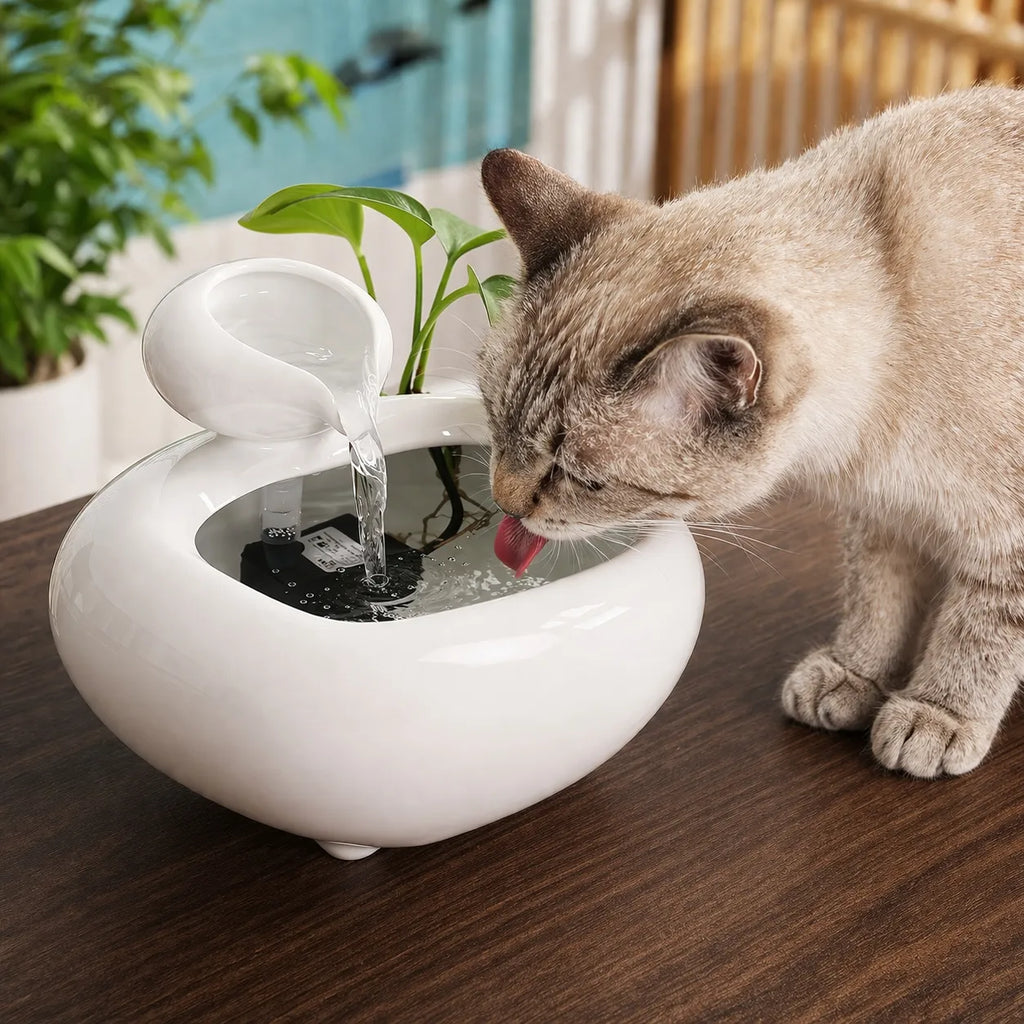 Fontaine à eau pour chat céramique - Cascade Feng Shui USB