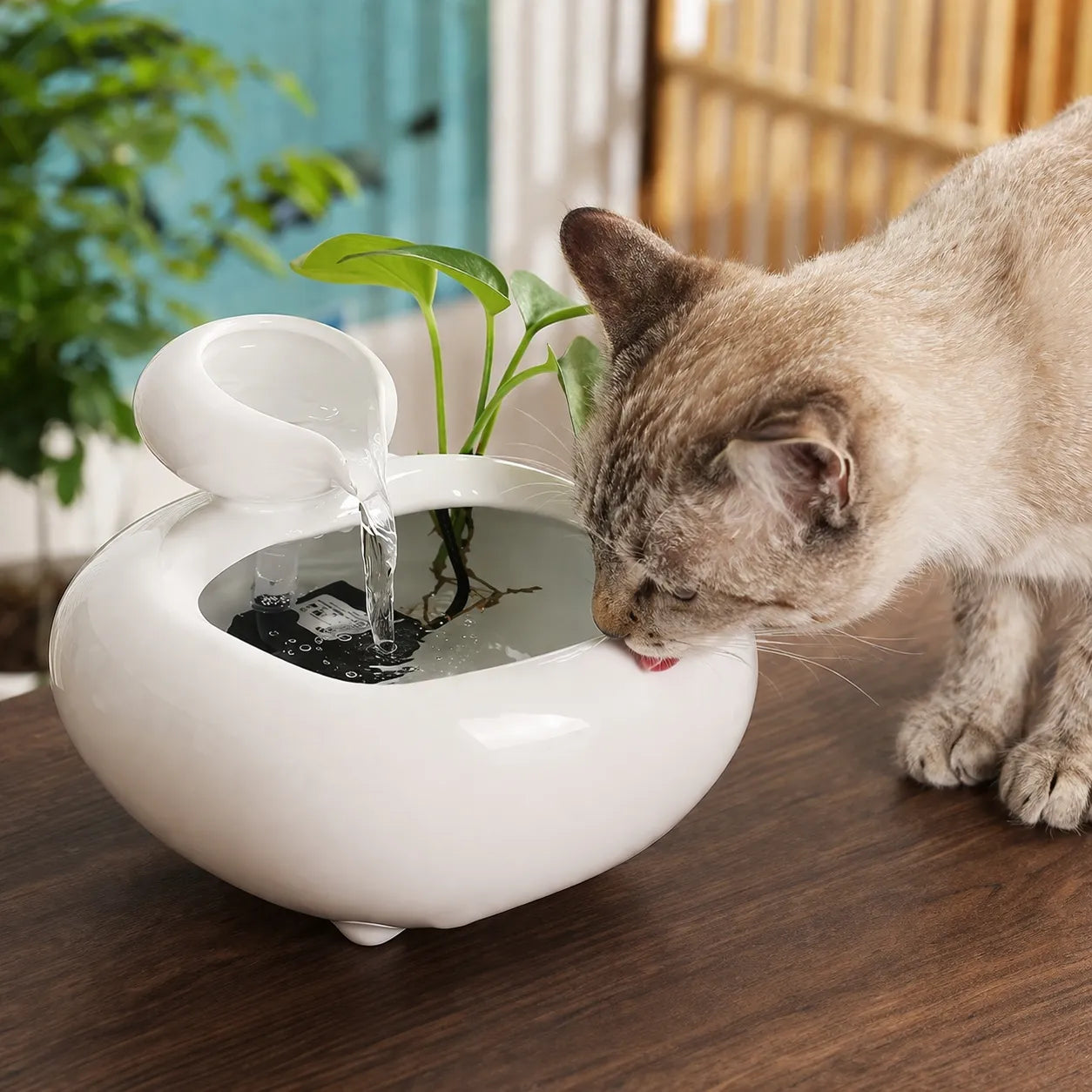 Fontaine à eau pour chat céramique - Cascade Feng Shui USB
