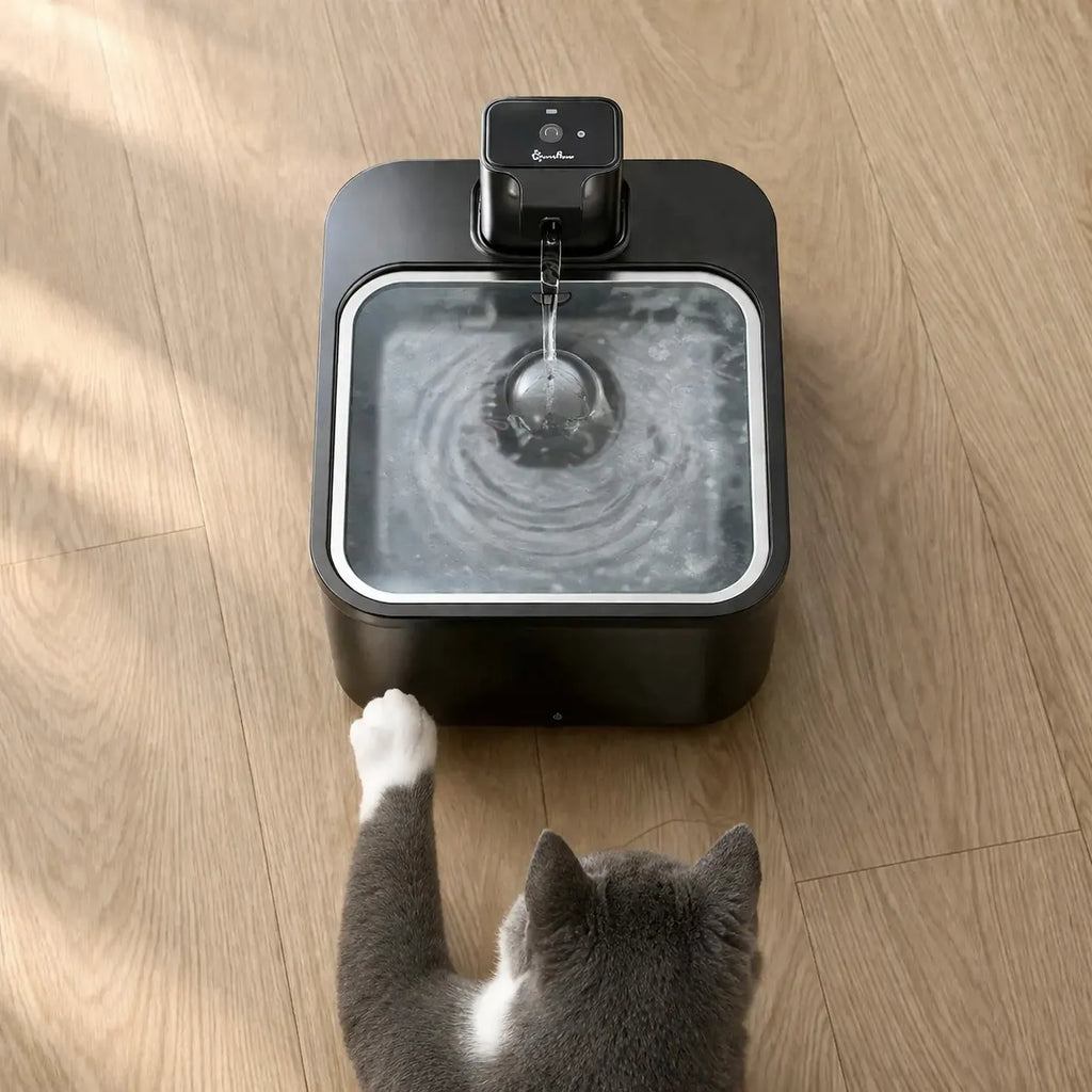 Fontaine à eau sans fil chat - Acier inoxydable 2,5 L