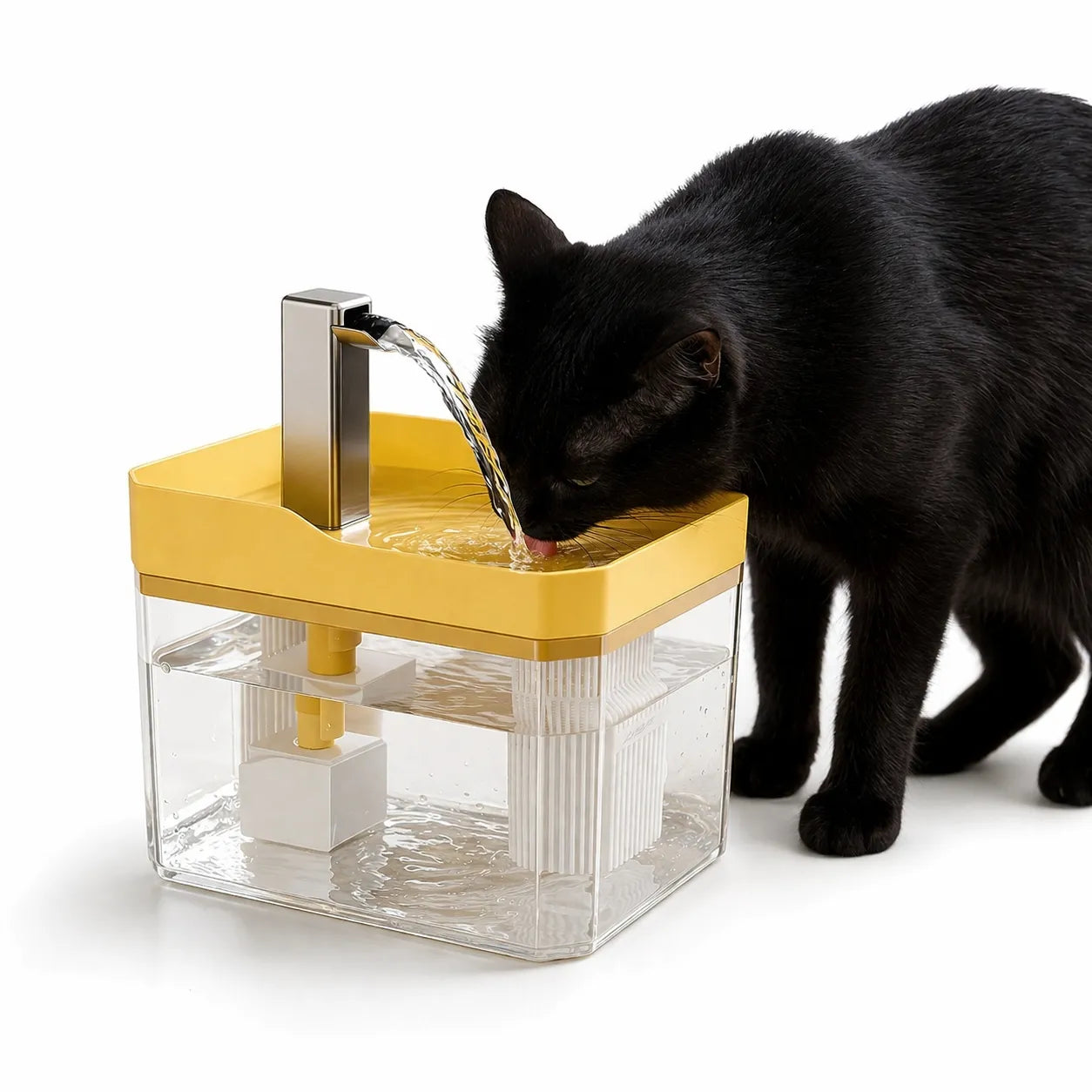 Fontaine filtrante pour chat - Distributeur eau silencieux 1,5L