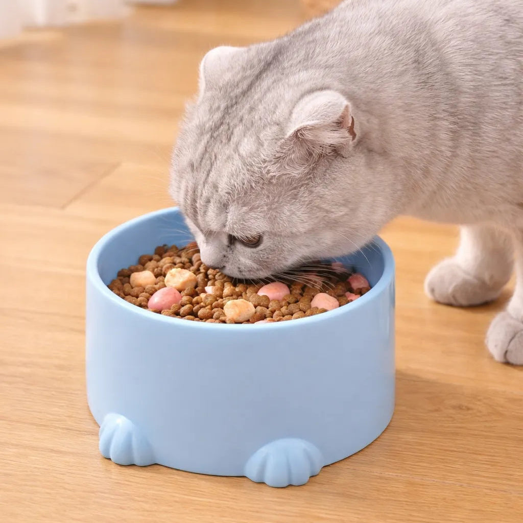 Gamelle anti glouton chat - Bol lent pour repas apaisés