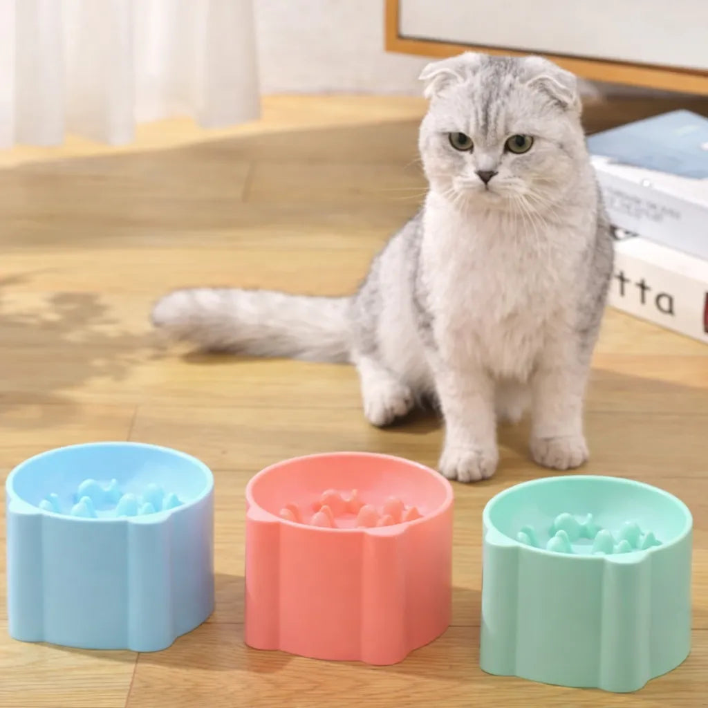 Gamelle anti glouton chat - Bol lent pour repas apaisés