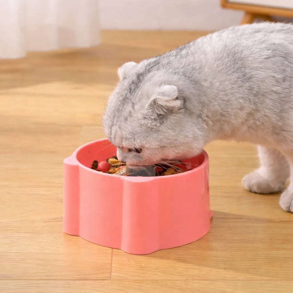 Gamelle anti glouton chat - Bol lent pour repas apaisés