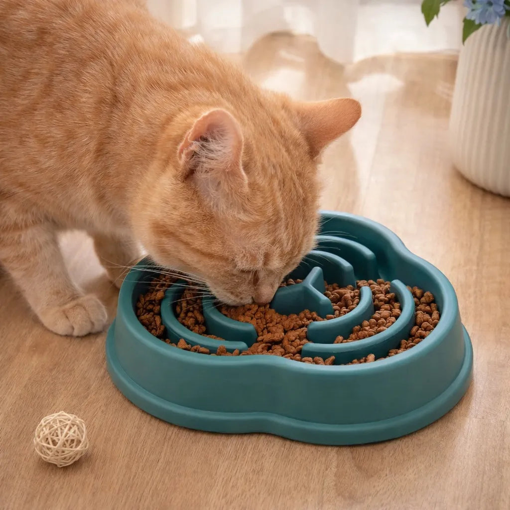 Gamelle chat anti-glouton - Bol lent anti-étouffement