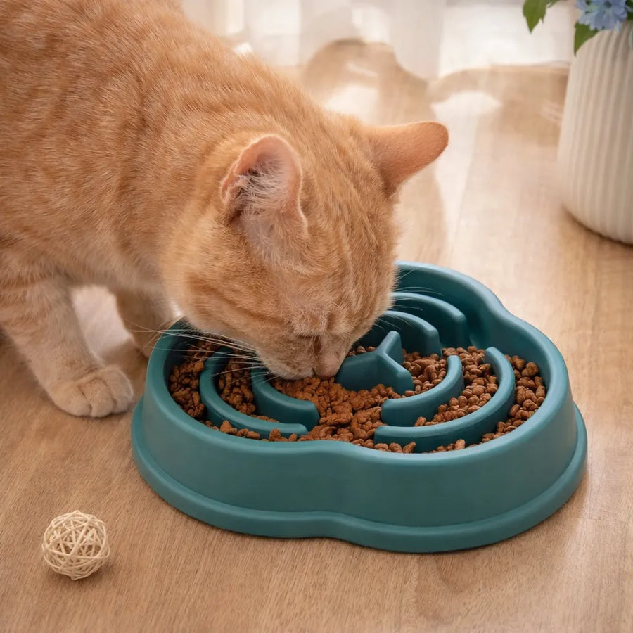 Gamelle chat anti-glouton - Bol lent anti-étouffement