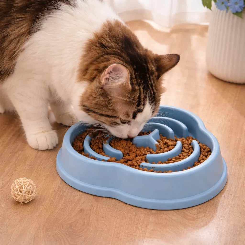 Gamelle chat anti-glouton - Bol lent anti-étouffement