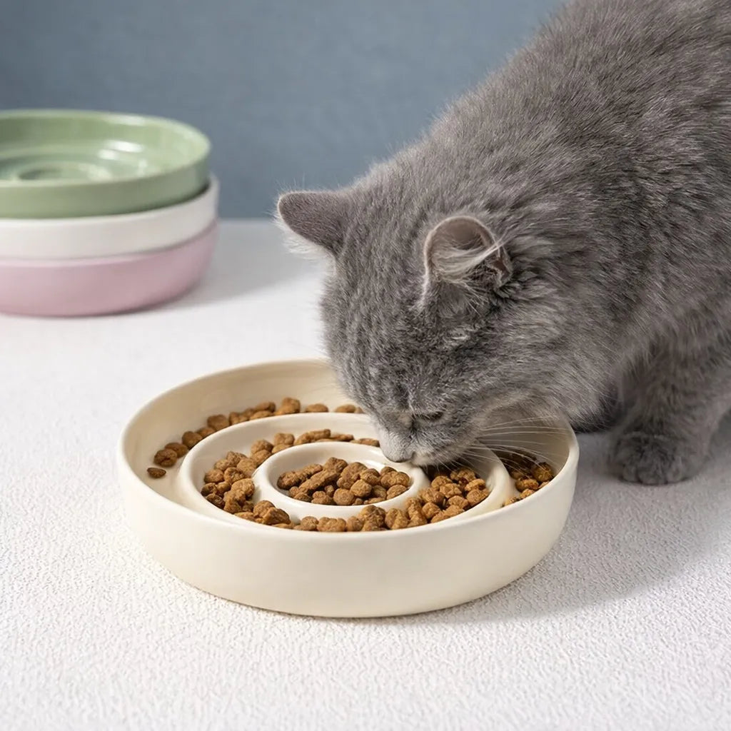 Gamelle chat céramique - Bol lent spirale anti régurgitation