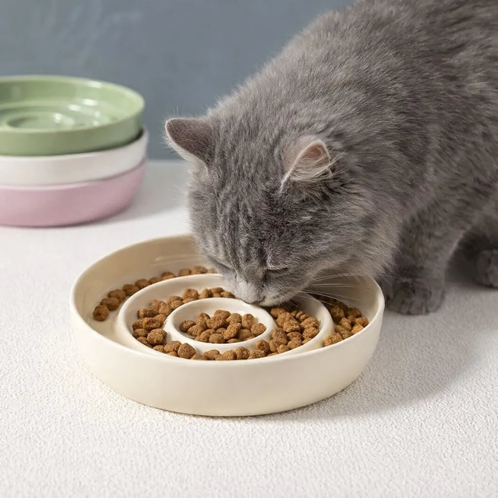 Gamelle chat céramique - Bol lent spirale anti régurgitation