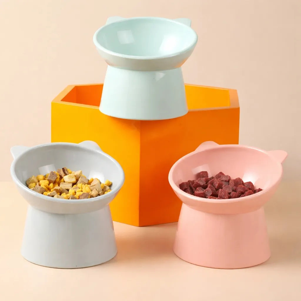 Gamelle chat surélevée - Bol ergonomique anti-vomissements