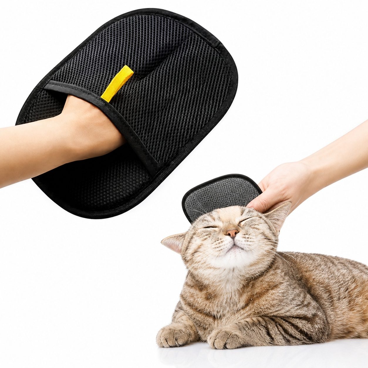 Gant anti-poils chat - Collecte sur vêtements et canapé
