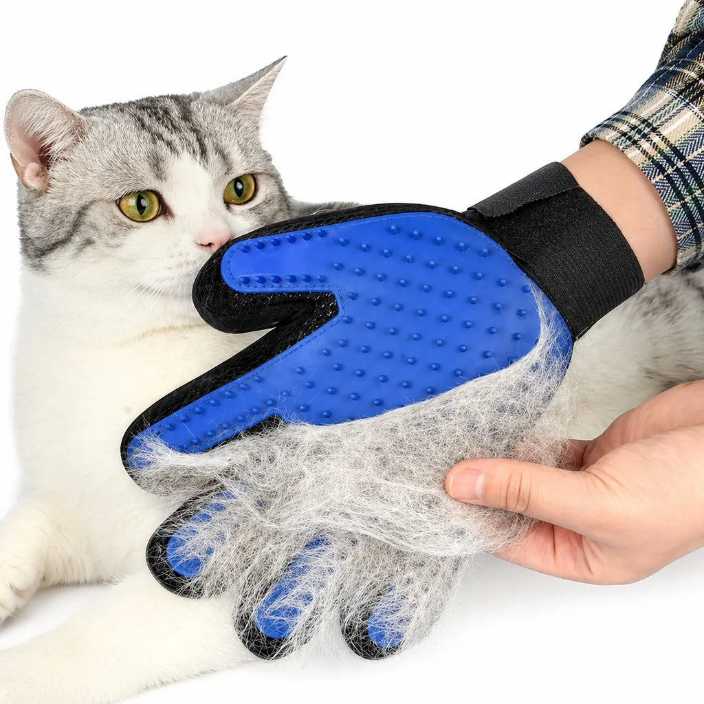 Gant brosse chat silicone - Toilettage massage anti-poils