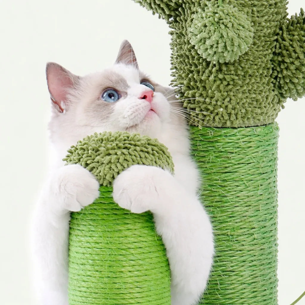 Griffoir cactus - poteau sisal design et résistant