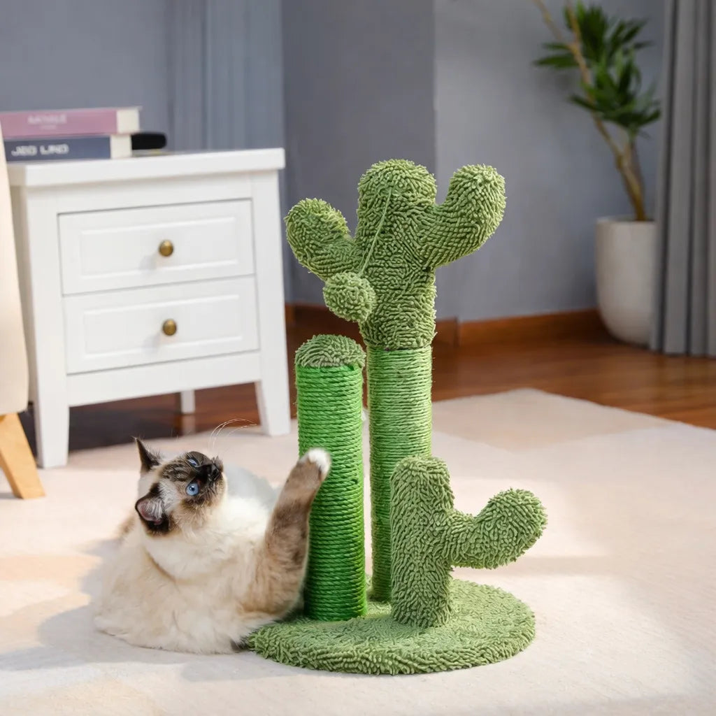 Griffoir cactus - poteau sisal design et résistant