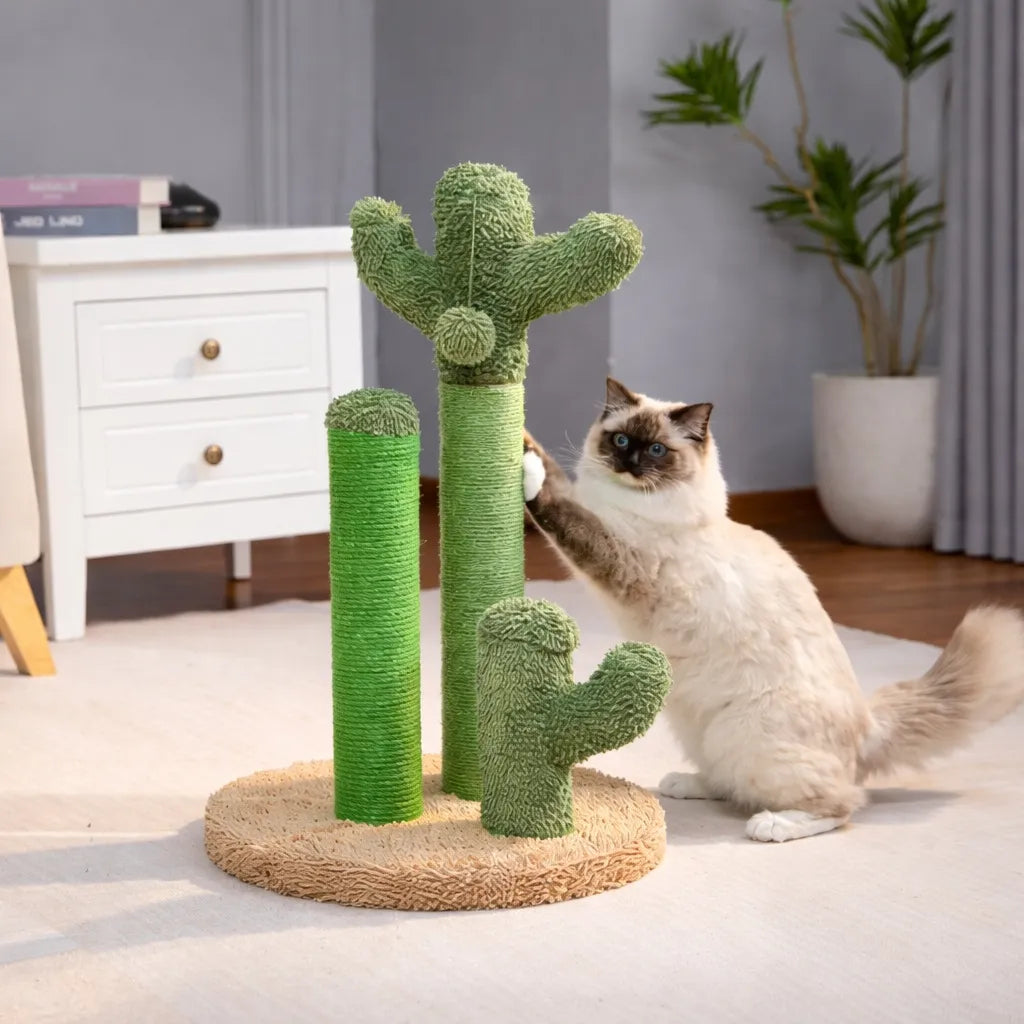 Griffoir cactus - poteau sisal design et résistant