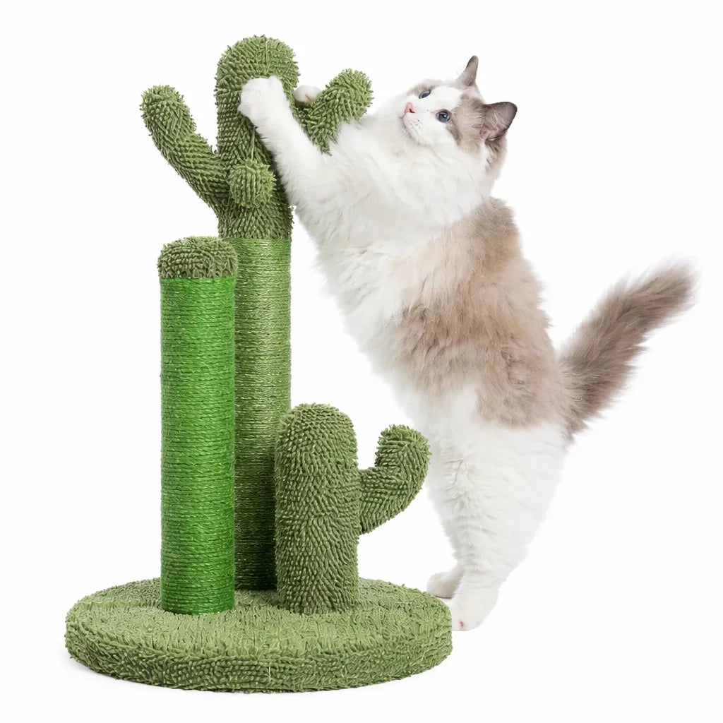 Griffoir cactus - poteau sisal design et résistant