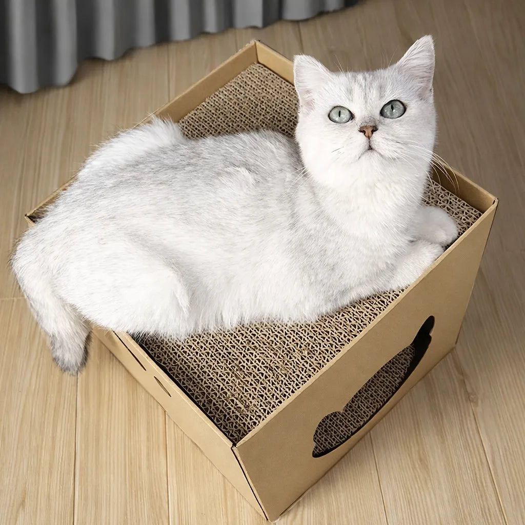 Griffoir en carton pour chat - Abri et surface à gratter
