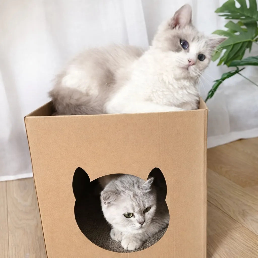 Griffoir en carton pour chat - Abri et surface à gratter