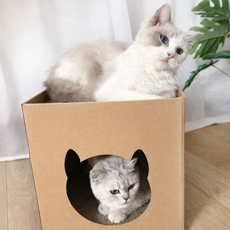 Griffoir en carton pour chat - Abri et surface à gratter