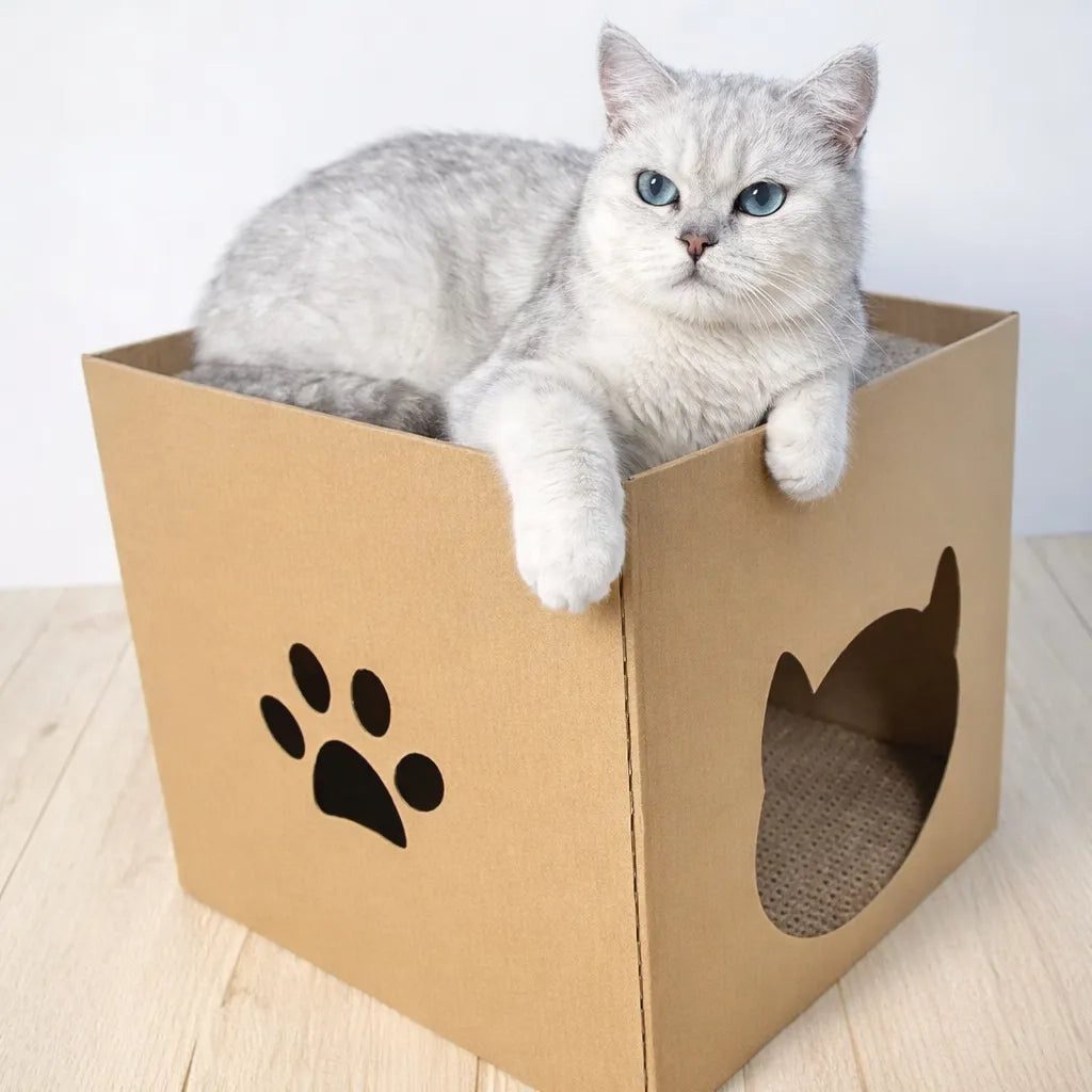 Griffoir en carton pour chat - Abri et surface à gratter