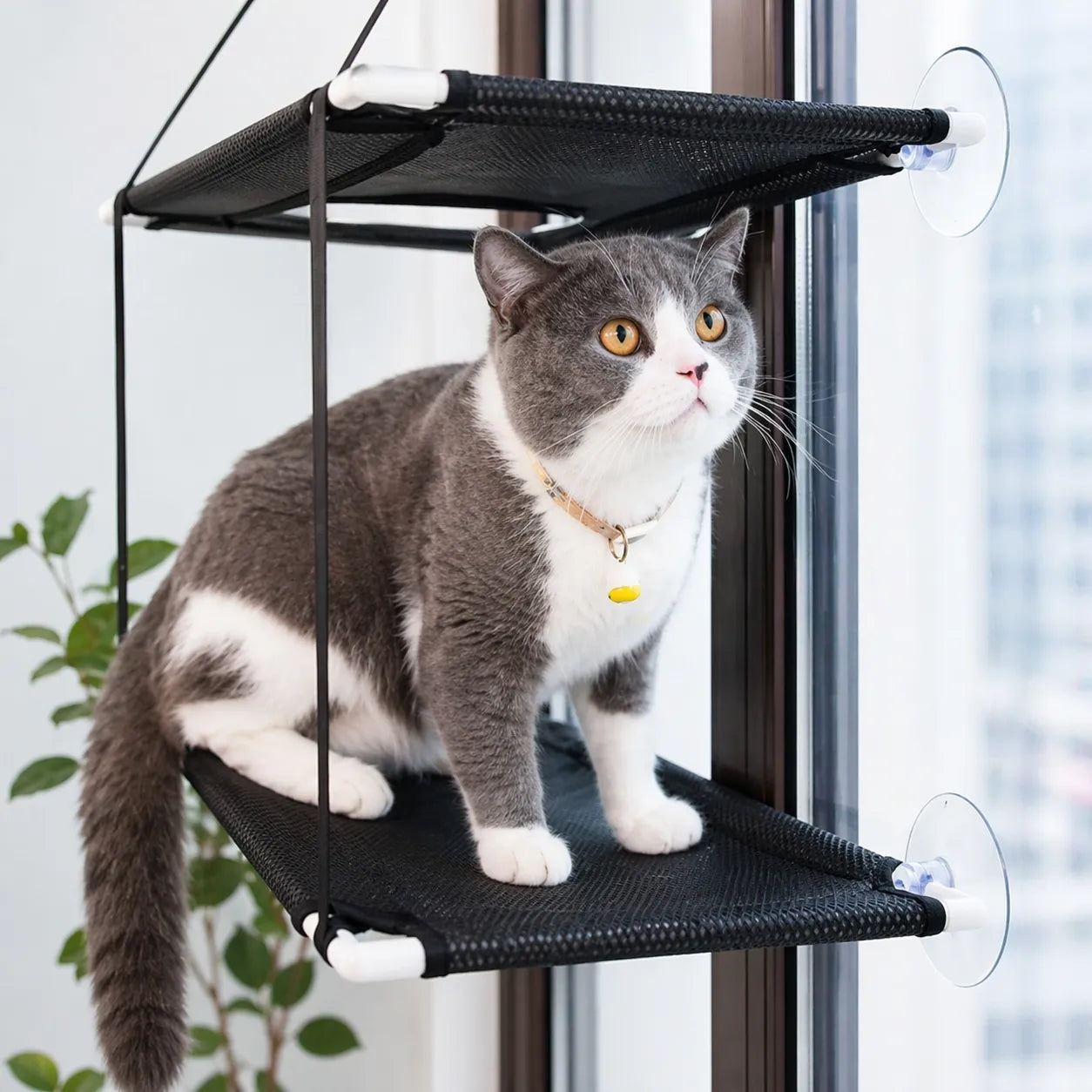 Hamac pour chat à ventouses - Double étage respirant