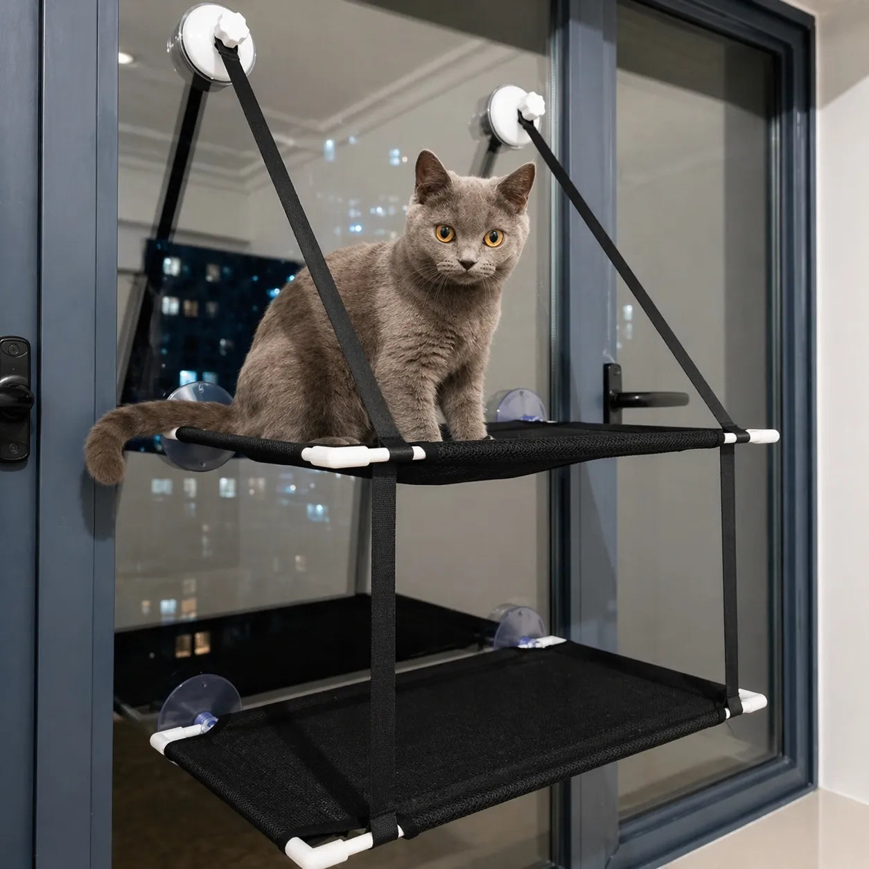 Hamac pour chat à ventouses - Double étage respirant