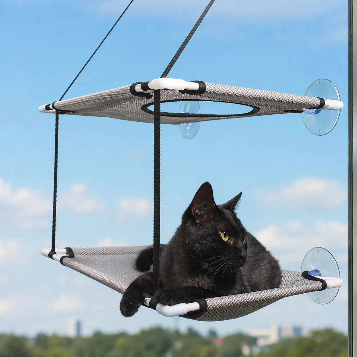 Hamac pour chat à ventouses - Double étage respirant