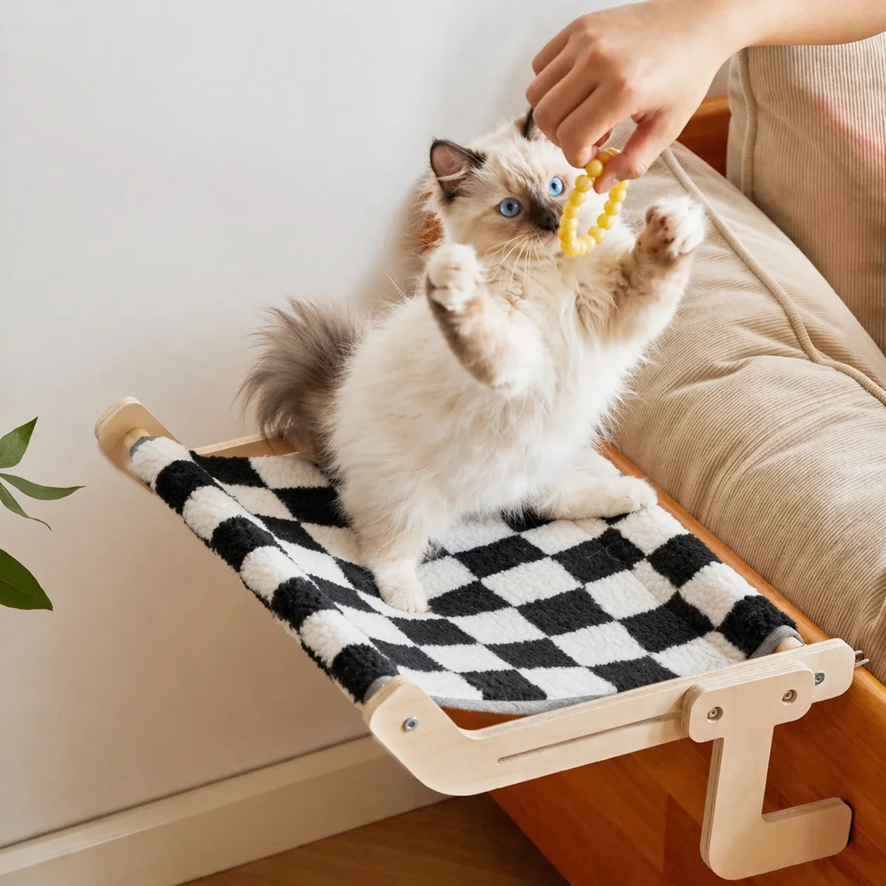 Hamac pour chat en bois - Nid suspendu confortable et durable