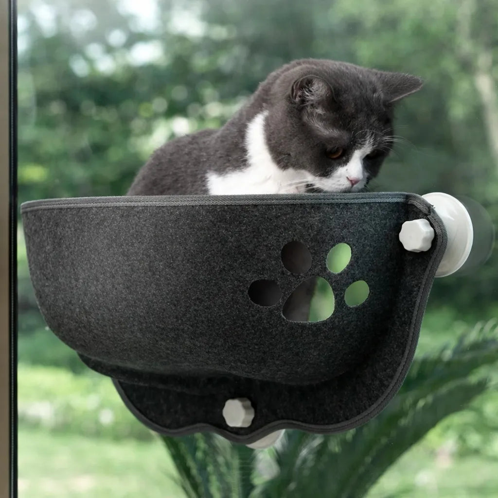 Hamac pour chat suspendu à fenêtre - Confort & sécurité
