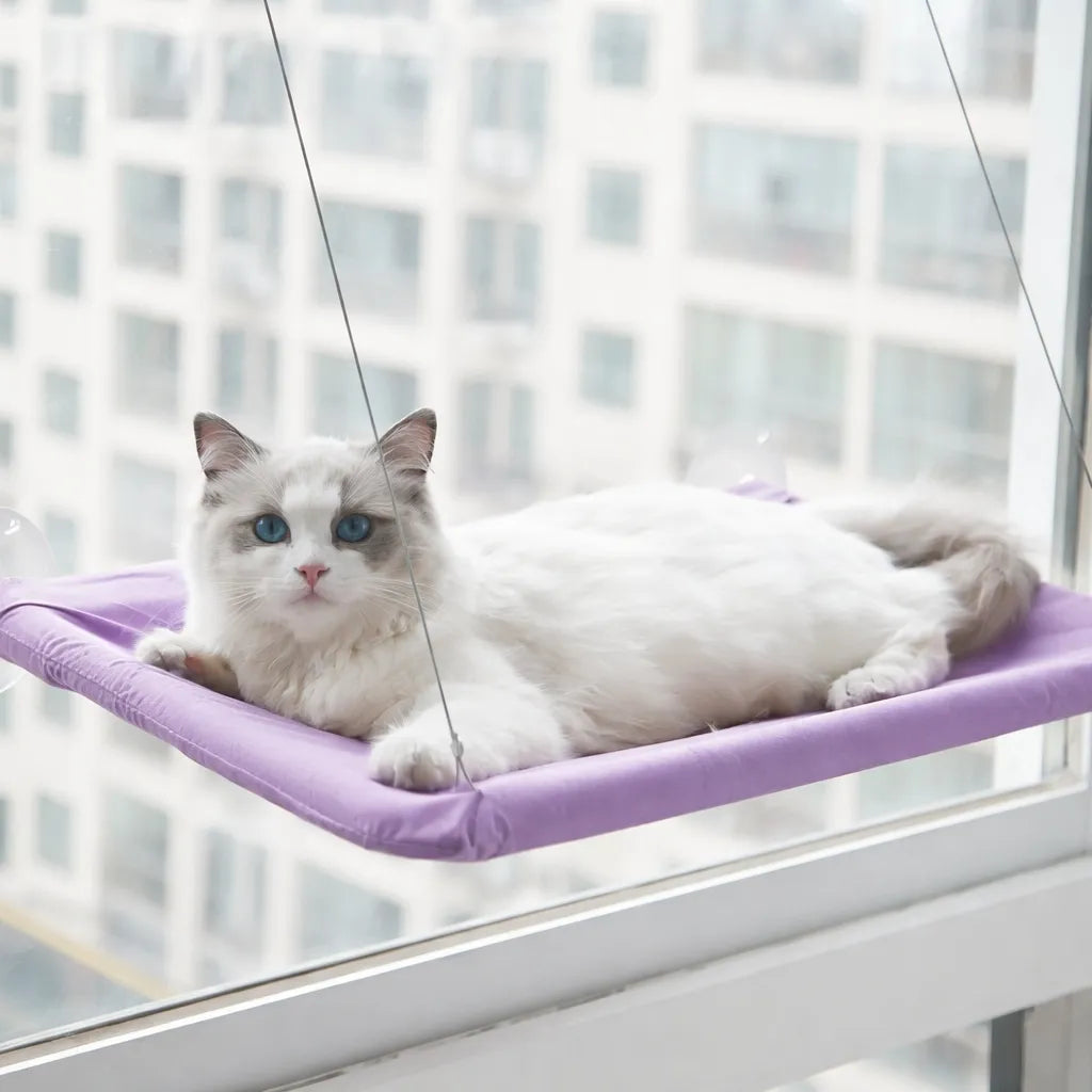 Hamac pour chat suspendu - Confort et sécurité à la fenêtre