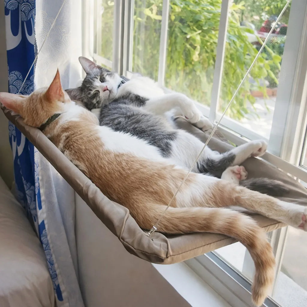 Hamac pour chat suspendu - Confort et sécurité à la fenêtre