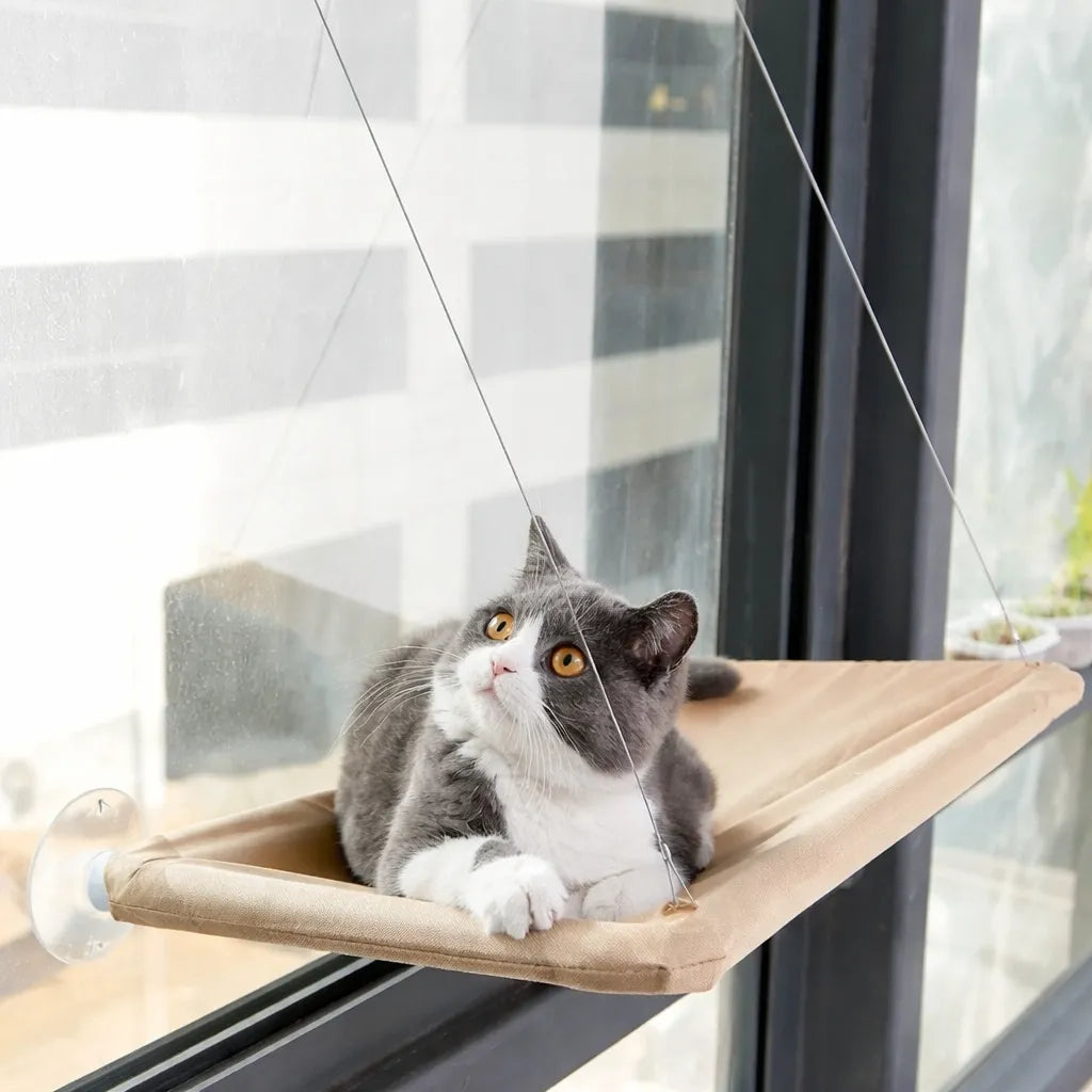 Hamac pour chat suspendu - Confort et sécurité à la fenêtre