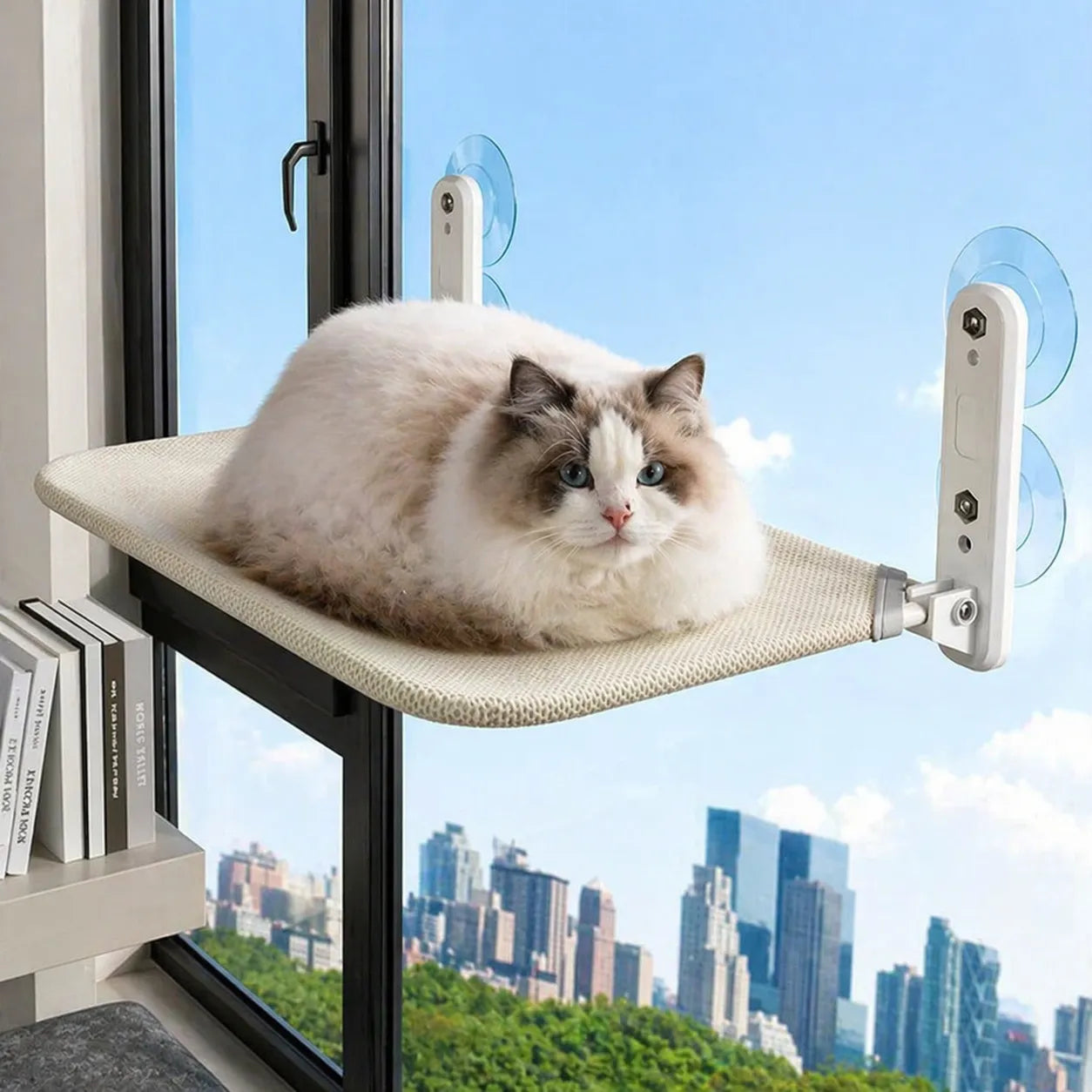 Hamac pour chat suspendu - Confort et sécurité au quotidien