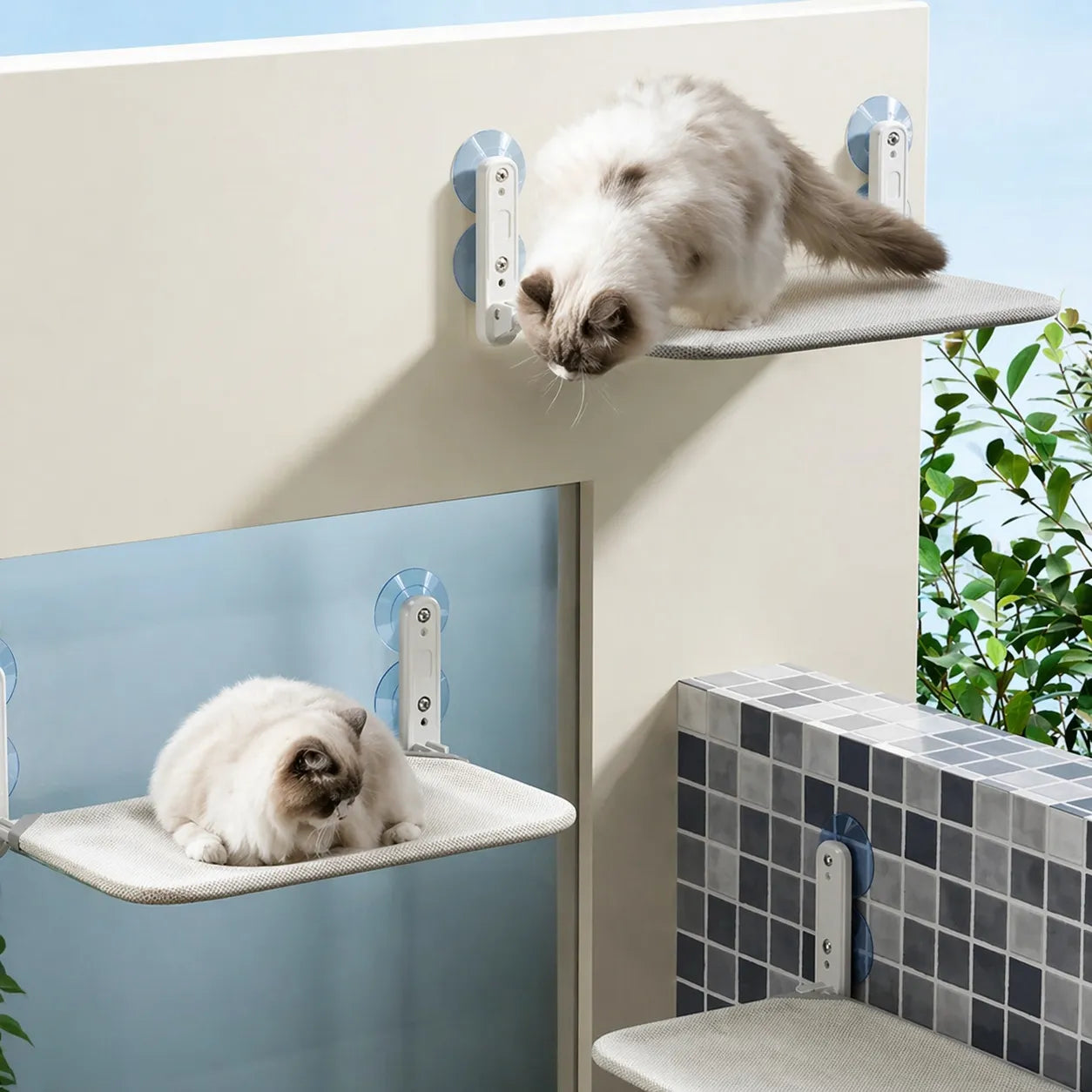 Hamac pour chat suspendu - Confort et sécurité au quotidien