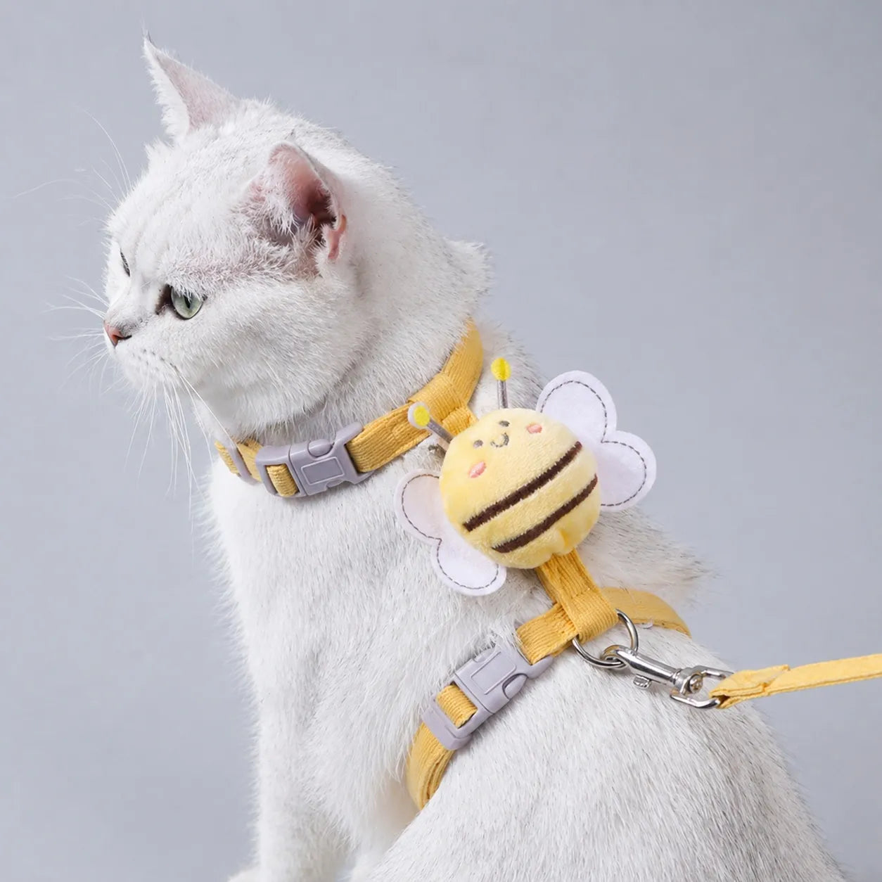 Harnais chat abeille ajustable - Gilet de marche confortable