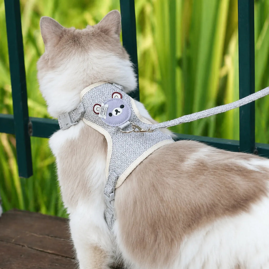 Harnais chat gilet doux - Design ours et laisse assortie