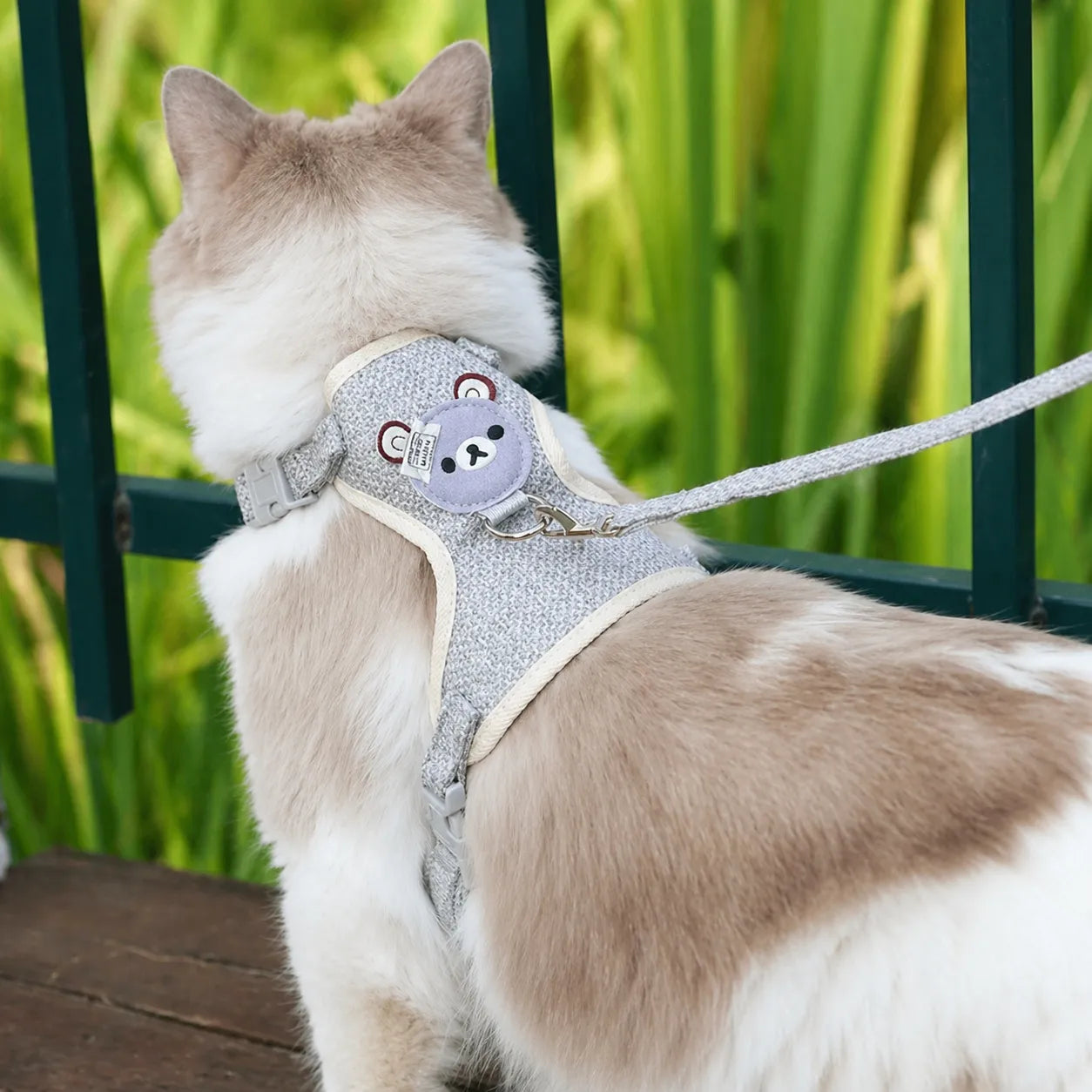 Harnais chat gilet doux - Design ours et laisse assortie