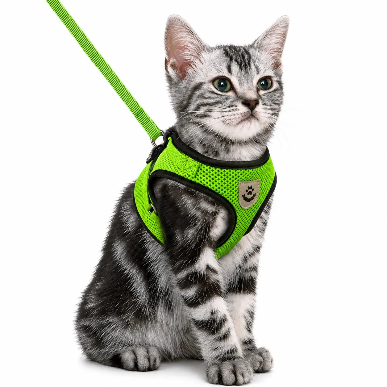 Harnais chat maille respirante réglable - Réfléchissant S à XL
