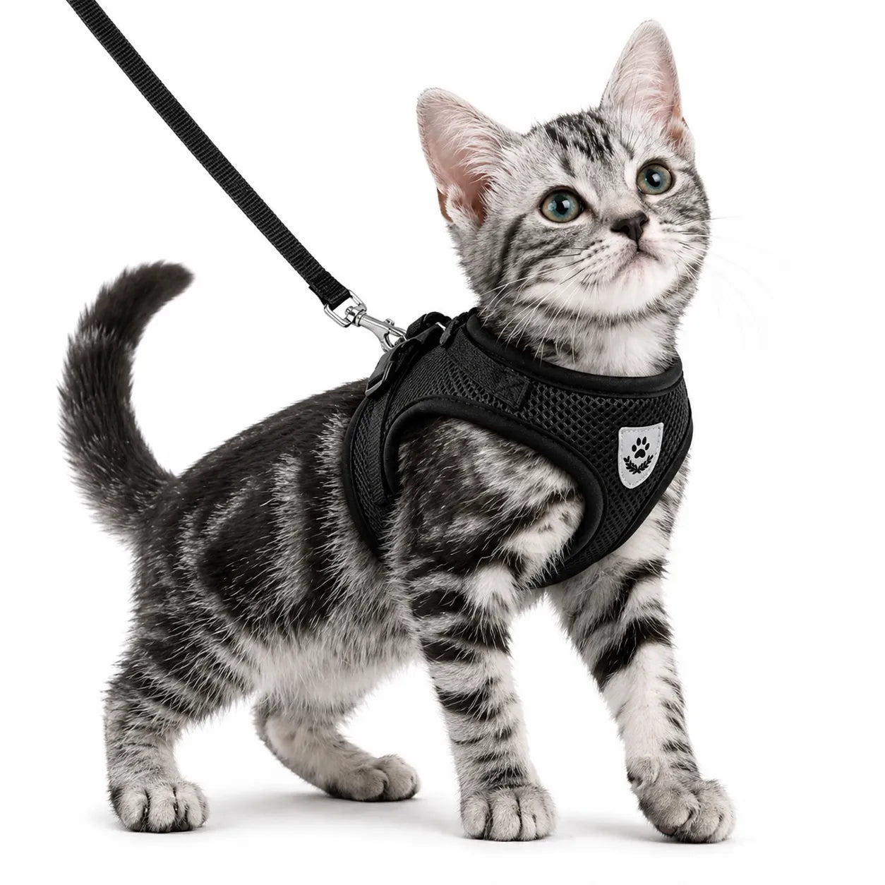 Harnais chat maille respirante réglable - Réfléchissant S à XL